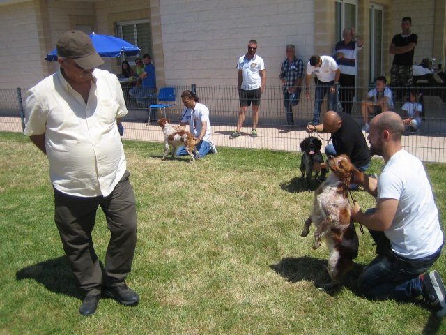 17th National Breed Show